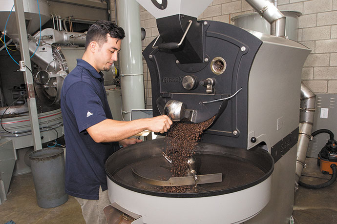 Apprentice roaster T.K. Yamada inspects coffee beans to ensure that only topnotch ones are roasted
