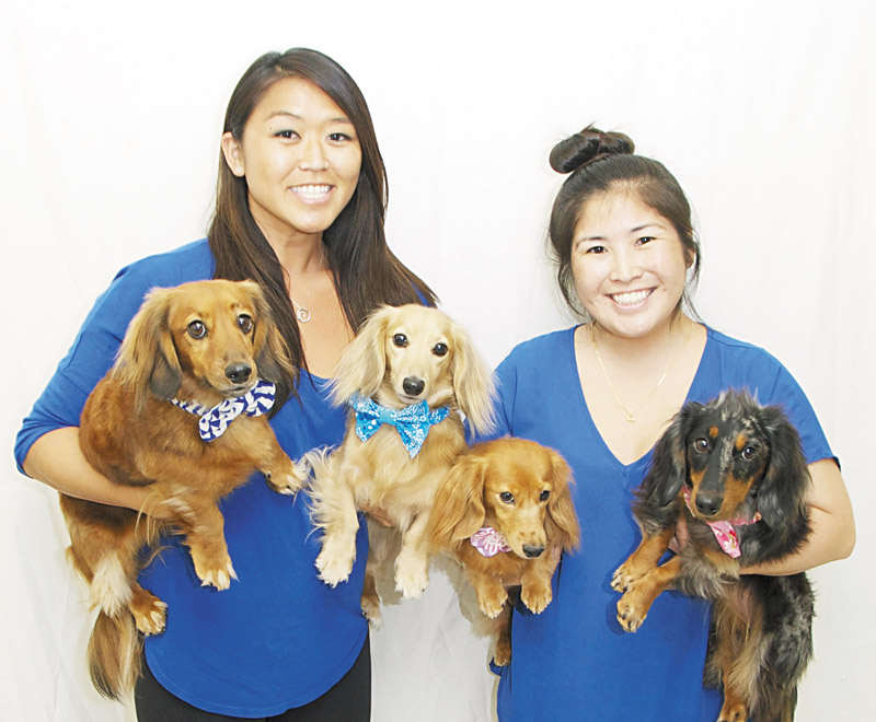 Joy Lau (left) with Weenie and Chance; and Sharisa Shobu with Honey and Pepper 