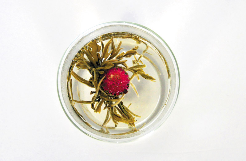The Mari Felicity, a flowering tea
